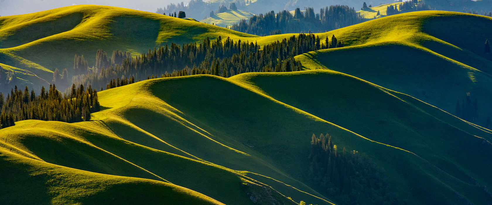 Z6·尊龙「中国」官方网站