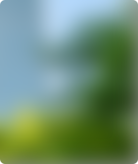 Z6·尊龙「中国」官方网站