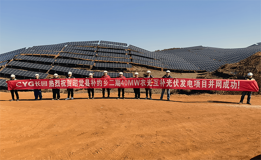 Z6·尊龙「中国」官方网站